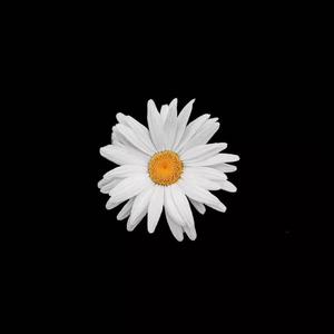 操日本处女嫩逼
